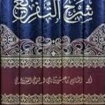 شرح التفريع للتنوخي 5 مجلدات